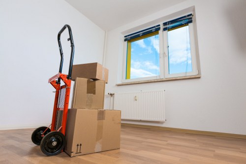 Careful packing and labeling for a house move in Fulham